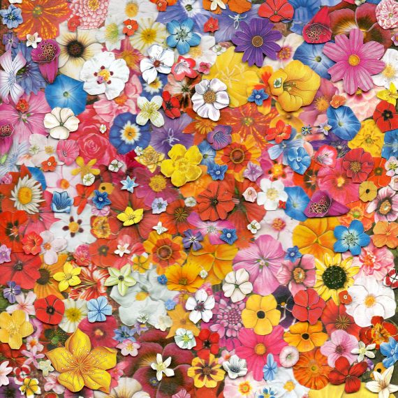 tradizionale infiorata di genzano concept